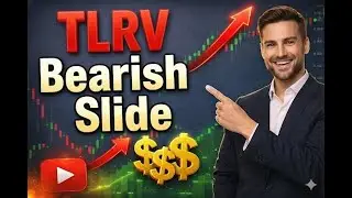 Tilray Brands TLRY Stock Analysis: Price Drop and Market Reaction Today