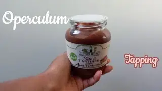 ASMR | Tapping operculum & packaging 🐿