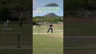 OUT or NOT OUT You&rsquo;re the umpire | Serious Cricket