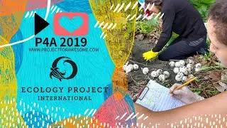 Meet Ecology Project International and Vote!
