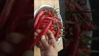 superb 👌😋winter special recipe #shorts #youtubeshorts #pandu mirapakaya pachadi#food #Manasa Recipe