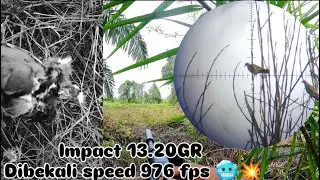 Black lava impact menggila 🥶🥶💥💥 13.20GR dari MITO BLORA SLUG