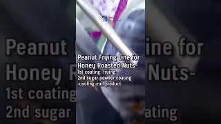 03 Peanut Frying Line for Honey Roasted Nuts Flow Chart: Coating Frying Second Coating Cooling