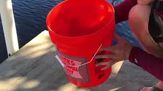 Gator Guards' Gator Patch Bucket Test