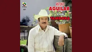 Caballo Mojino