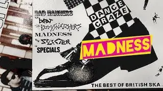 expanding my record collection : SKA