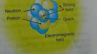 Lecture- 5 nuclear parity #nuclearparity #bsc #bscmsc #nuclearphysics