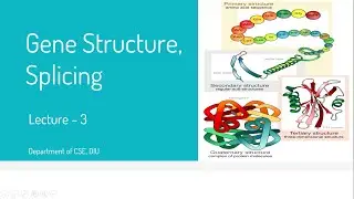 Gene Structure and Splicing