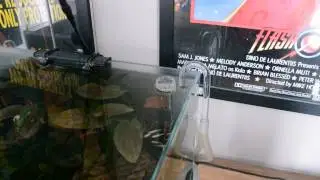 Lily Pipe Surface Skimmer - Iwagumi'esk tank - review