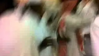 فارس السامر- يوماني