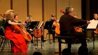 Budapest Cello Orchestra   Beatles   Eleanor Rigby
