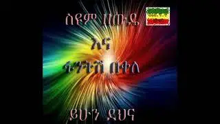Seyoum Zewde & Fantish Bekele - yihun dehna