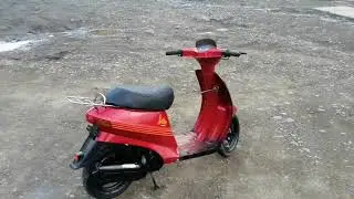 Suzuki love