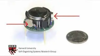 Introduction to Kilobot