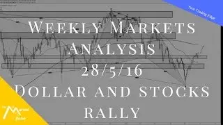Weekly Markets Analysis   280516- Dollar and Stocks rally as June rate hike is back on the table