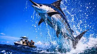 61 Times Fishermen Caught Monsters