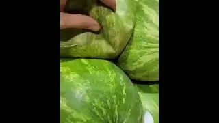 spoiled watermelon meme | #dailymemes