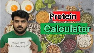 Calculation of Daily Protein Intake - 02
