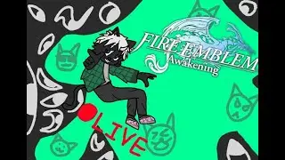Fire Emblem Awakening! The final slay