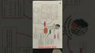 #boardexam #cbseclass10 #stateboard #class10 #importantquestions #mathematics