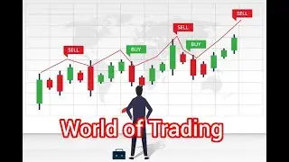The World of Trading | Beginner&rsquo;s Guide to Financial Markets