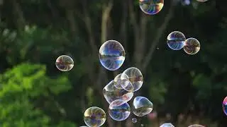 Soap bubbles floating in the air with natural green blurred@MYVISUALS-1997 