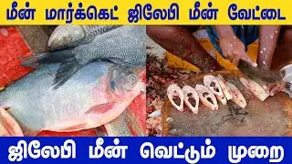 மீன் சந்தை | Fastest Worker🔥 | கொலபசி😍 | Fish market🐟 | Big Fish Cutting | Kolapasi Street Food#fish
