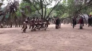 Zulu Tanz 2016