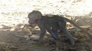 Cute baby Run from My Camera