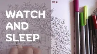 How To Fall Asleep | How To Sleep Fast | coloring and relaxing music to watch before bed