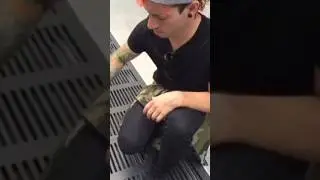 T&oslash;p Vines 😌  #music #topvines  #vines #twentyonepilots #twenty&oslash;nepil&oslash;ts #tylerjoseph #joshdun