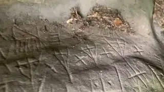 Rock engravings in the Malmontagne style (Bronze Age), Fontainebleau forest (France)