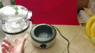 Quickie Review of OVENTE 2 Tier Electric Food Steamer w/ Manual reading