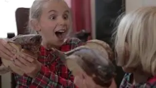 Fish Sandwich [Music Video] | Greg Warren