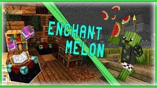 ENFIN LA FARM OPTI ET L'UNLUCKY DES ENCHANT [Nomelia]