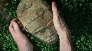 Mudfossils Part 1..The story