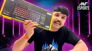 Ant Esports MK1000 Wired TKL Mechanical Gaming Keyboard with Red Switches | Unbox Zone
