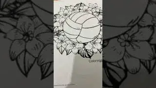 Volleyball coloring sheet transition! #shorts