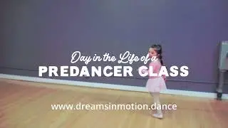 Day in the Life   Predancer