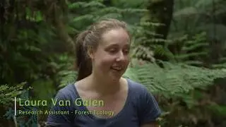 Stories Behind our Trees - Research Assistant, Forest Ecology