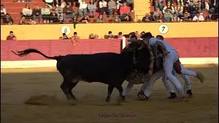 Festejo Taurino Popular Alag&oacute;n (Zaragoza) - 24/11/2024 - HD