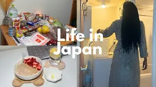 Living Alone in Japan| Japanese Supermarkets | Grocery Haul| Cozy Home Vlog ᥫ᭡