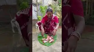Best Cooking 2026 Try to test