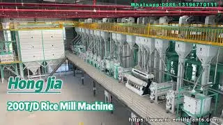 200T/D Rice Milling Plant | Full Processing System from Paddy to Finished Rice #RiceMillPlant
