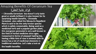 Citronella Geranium Tea  فوائد عشبة العطرة