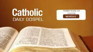 Daily Bible Reading Third Week of Easter 05-05-2025 | Tamil | John 6:22-29