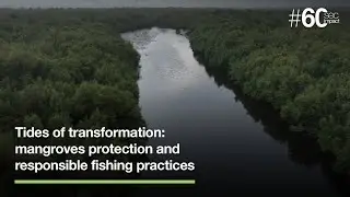 Tides of transformation: mangroves protection and responsible fishing practices