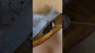 Yeezy Israfil Custom