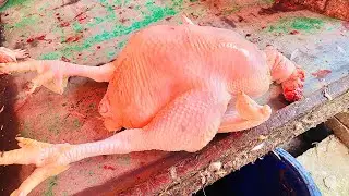 New style chicken cutting skills || Amazing chicken cutting skills || how to cut whole chicken cut