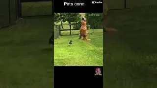 Pet core #cute #viral #fyp #shorts